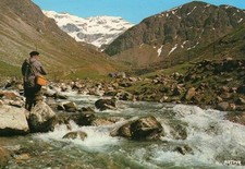 Pyrenees mountain trout d'occasion  Expédié en Belgium
