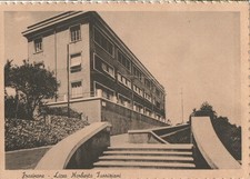 rimorchi agricoli frosinone usato  Jesi