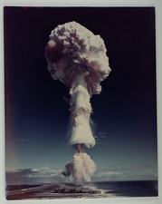 Nuclear explosion unicorn d'occasion  Expédié en Belgium