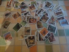 Figurine degli animali usato  Torrita Tiberina