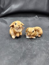 Cute lil brown for sale  Alvin