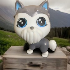 Gray white puppy for sale  Antioch