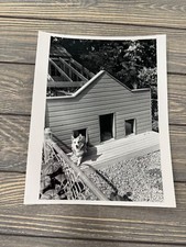 Designing dog house for sale  Marion
