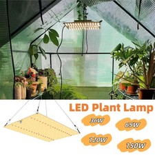 Lampada led spettro usato  Spedire a Italy