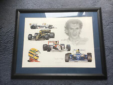 Frame ayrton senna for sale  SOUTHAMPTON