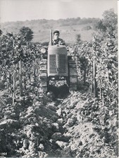 Agricultural machinery 1950 d'occasion  Expédié en Belgium
