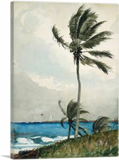Artcanvas palm tree for sale  Niles