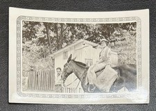 horse young for sale horse young for sale Anderson