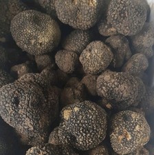 200 tartufo fresco usato  Tolentino