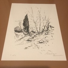 Curandai gianfranco p.d usato  Bologna
