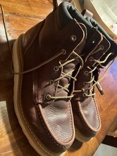 Irish setter red for sale  Ashville
