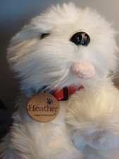 Keel white dog for sale  IPSWICH