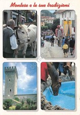 feste tradizionali usato  Milano