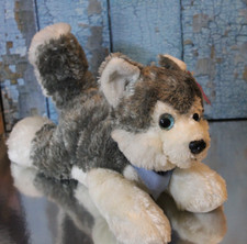 husky siberiano filhote comprar usado husky siberiano filhote comprar usado Enviando para Brazil