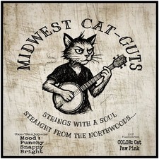 Banjolele ukulele strings for sale  Brainerd