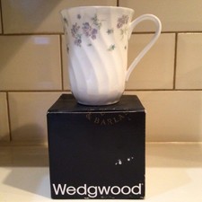 Wedgwood english bone for sale  THORNTON-CLEVELEYS