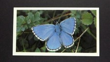 Grandee cigar card for sale  EASTBOURNE