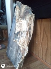 petrified wood opal for sale  Powell Butte