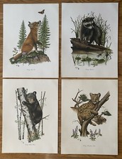 Vintage animal prints for sale  Fort Wayne