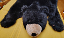 Carstens black bear for sale  Champaign