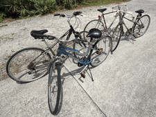 Bikes raleigh grans for sale  Stuart