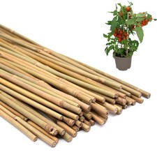 50pcs plant stakes for sale  Lathrop