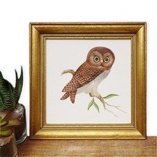 Minature painting bird for sale  LONDON