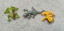 Small frogs lizard for sale  UK