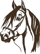 Horse head cowboy for sale  Chatsworth