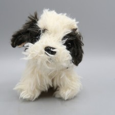 Scruffies mini black for sale  Plantsville