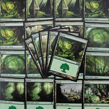Forests mtg basic for sale  Denver