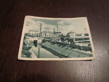 Cartolina mussolinia città usato  Firenze