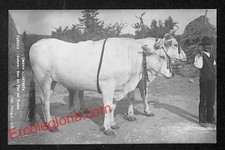 Ac3117 cartoline epoca usato  Milano