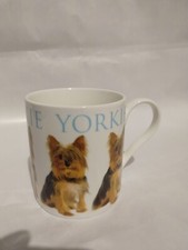 Yorkie leonardo collection for sale  BIRMINGHAM