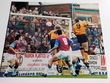 Wolverhampton wanderers wolves for sale  BRIERLEY HILL