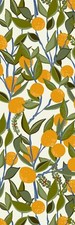 Keilrahmenbild komar lemon gebraucht kaufen  Nürnberg