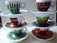 Illy espresso tassen gebraucht kaufen  Windeck