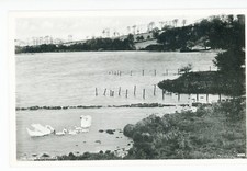 Scotla lochgelly loch for sale  COLCHESTER