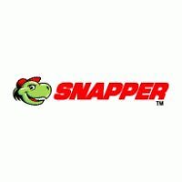 Snapper 7010749yp belt d'occasion  Expédié en France