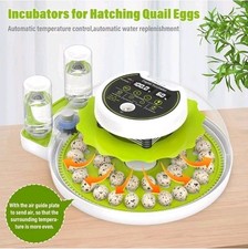 Quail egg incubator for sale  Omaha