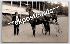 Lisbon rppc trotter for sale  Scotland