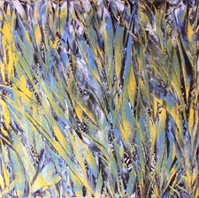 Quadro viva natura usato Quadro viva natura usato  Novara