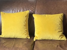 Pair golden yellow for sale  NEWTON ABBOT
