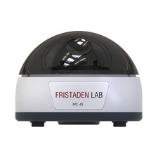 American fristaden lab for sale  Dover