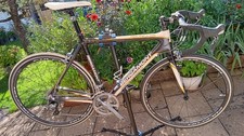 Rennrad carbon bergamont gebraucht kaufen  Garmisch-Partenkirchen