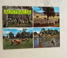 Grupo compuesto de postales típicas australianas  segunda mano  Embacar hacia Mexico