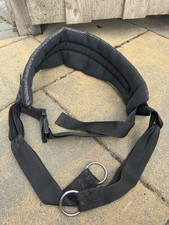 Dog gear dog for sale  STIRLING