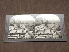 Vintage stereoview stereoscope for sale  USA