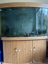 4ft aquarium x30 for sale  SUTTON COLDFIELD
