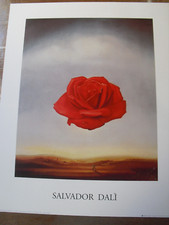 Salvador dali rose d'occasion  Gimont